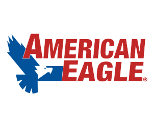 American Eagle Logo